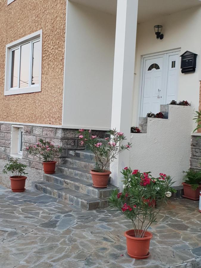 Pretty Garden Villa Orşova Esterno foto