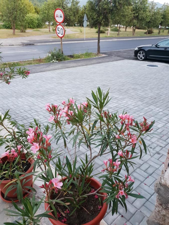 Pretty Garden Villa Orşova Esterno foto